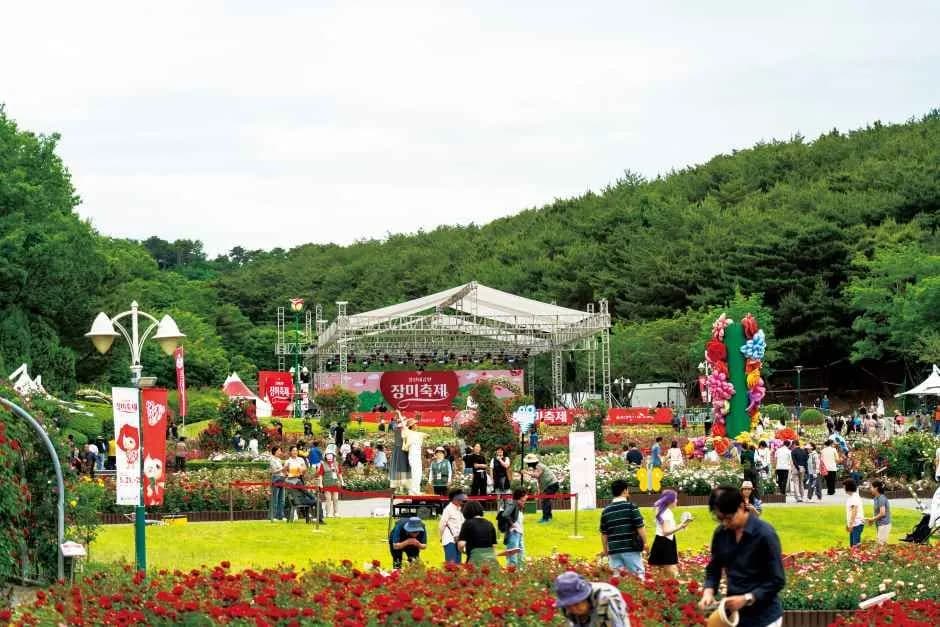 울산대공원 장미축제