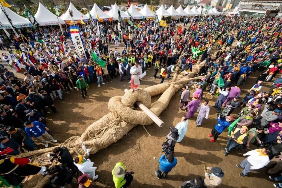 기지시줄다리기 축제
