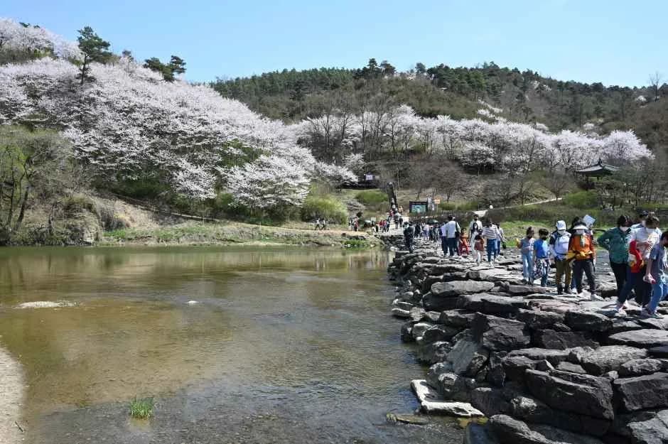 生居鎮川ノンダリ祭り