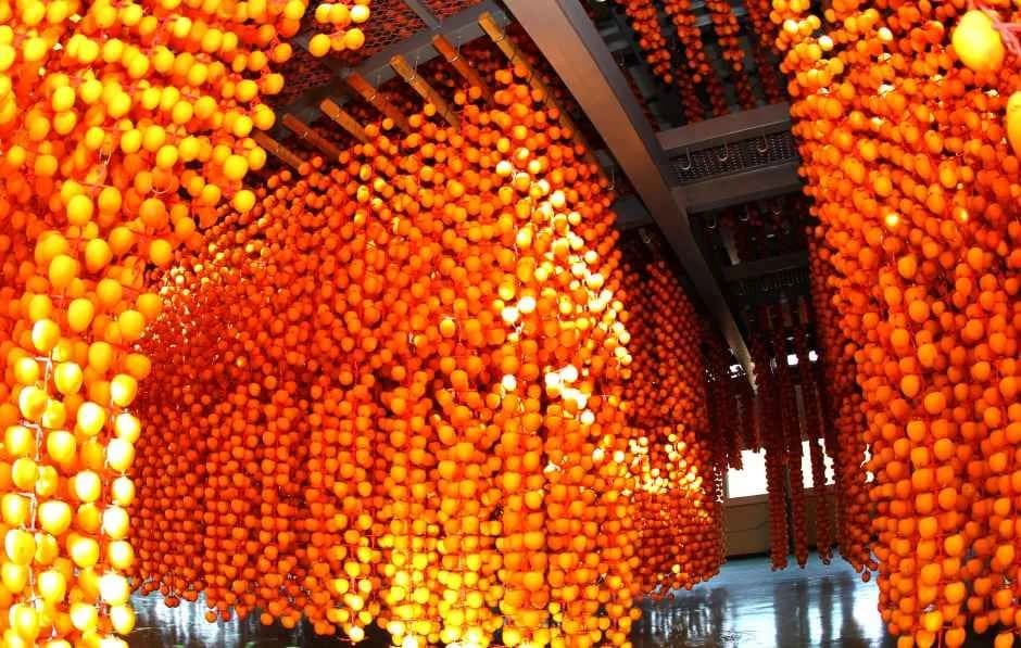 咸安干し柿祭り