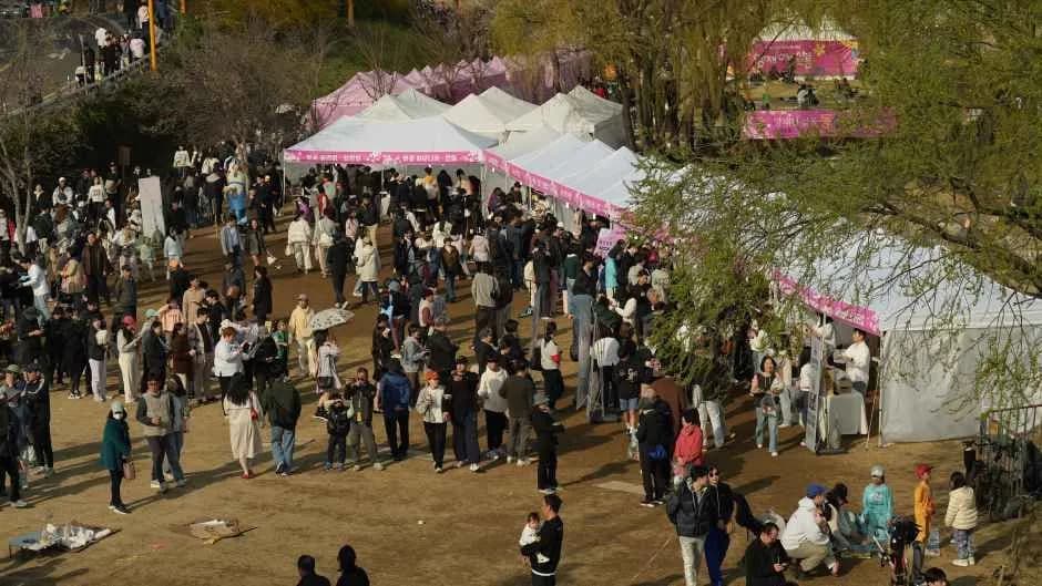 良才川桜灯り祭り