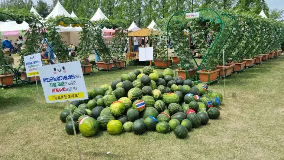 함안세계수박축제