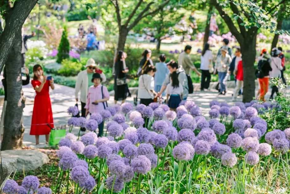 ソウル国際庭園博覧会