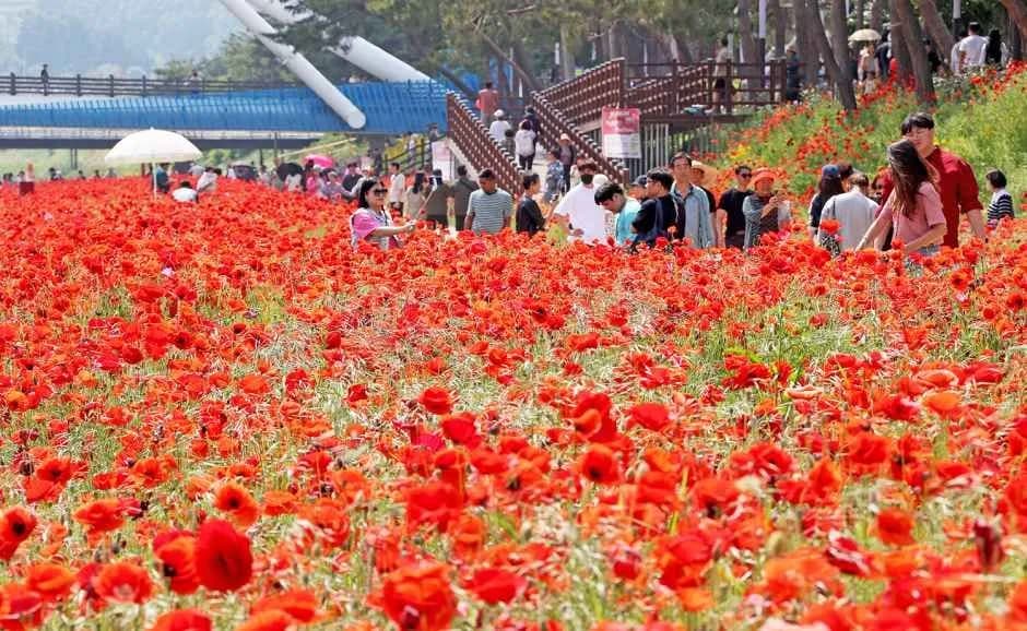槐山赤の味フェスティバル