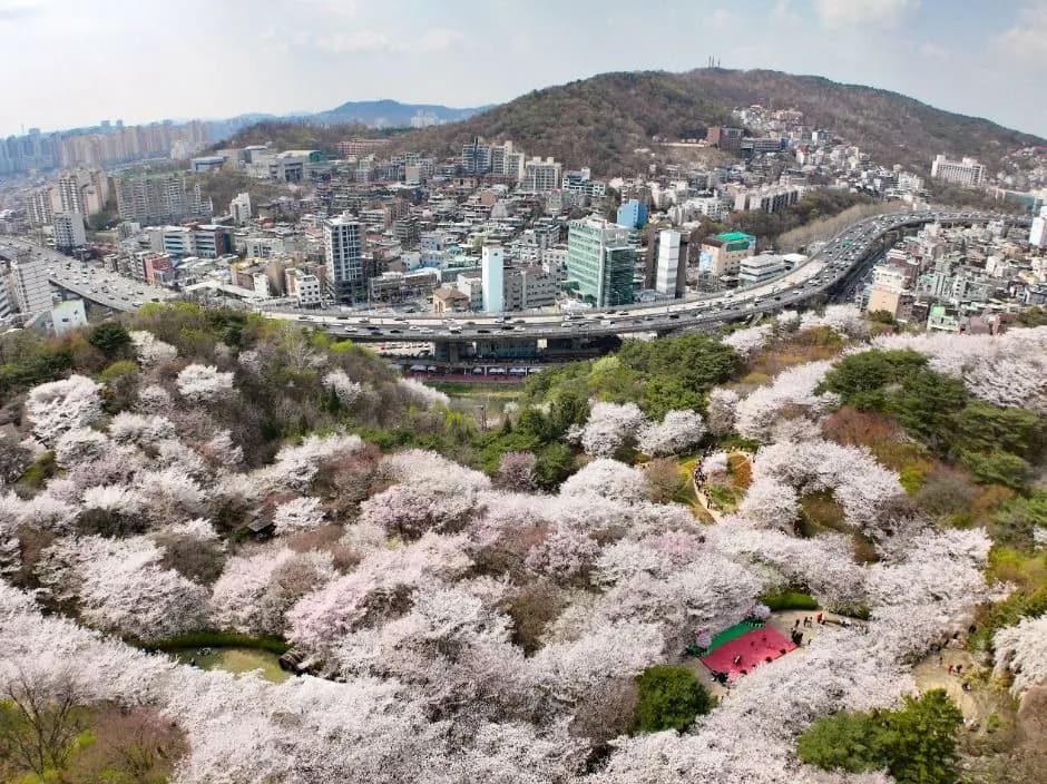 서대문 봄빛축제
