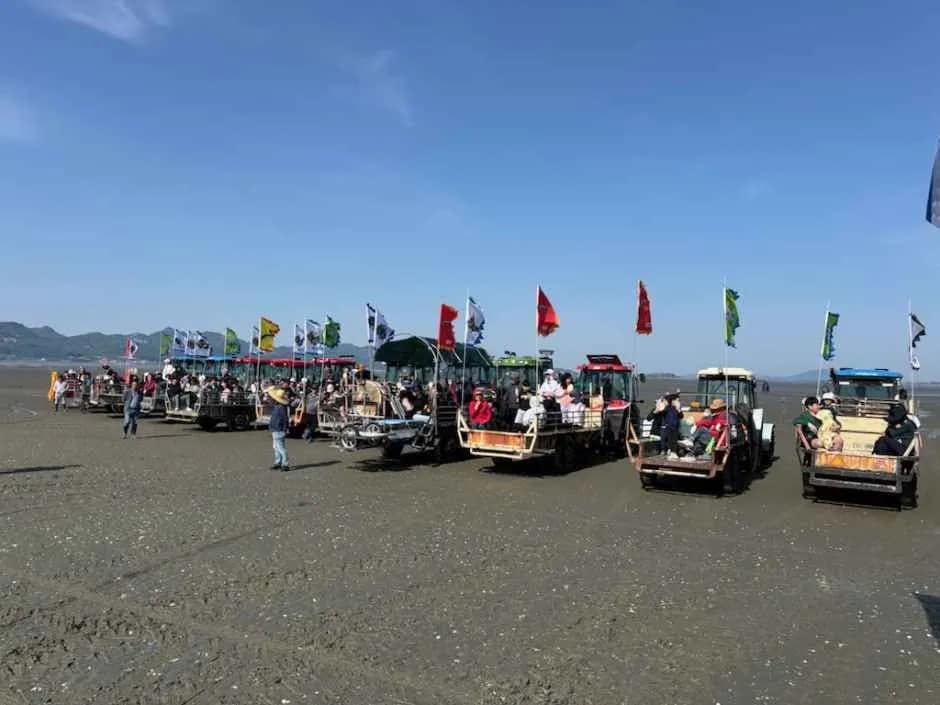 하전바지락 오감체험 페스티벌