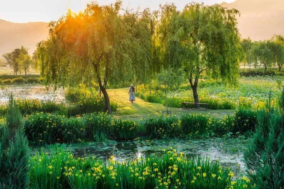 거창에 On 봄축제