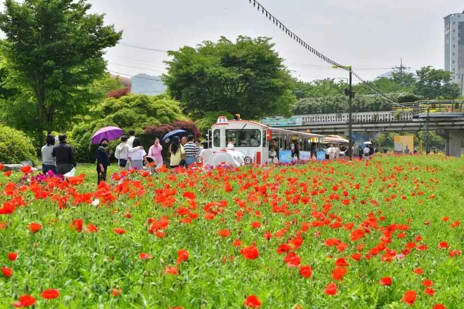 장성 황룡강 음악 힐링 축제
