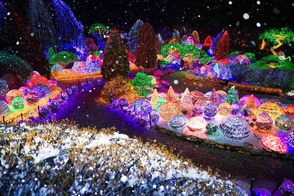 晨静树木园五色星光庭园展(아침고요수목원 오색별빛정원전)
